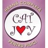 Cat Joy