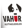 Vahur