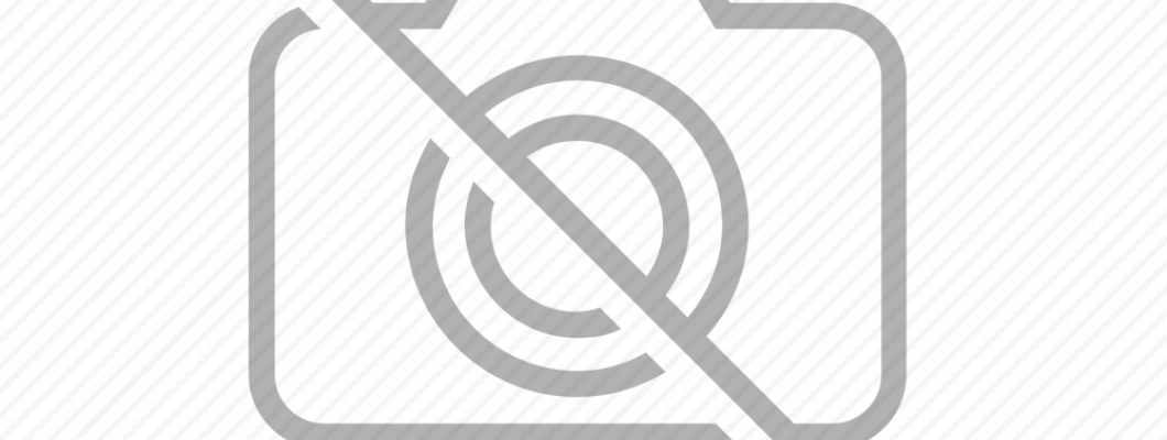 Cum îți menții câinele preocupat în timpul limitării interacțiunilor sociale, ca urmare a pandemiei de coronaviroză?