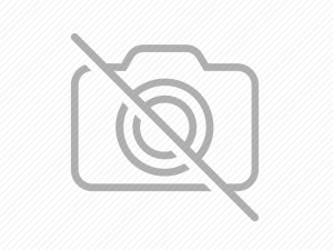 Un ghid pentru schimbarea hranei câinelui tău